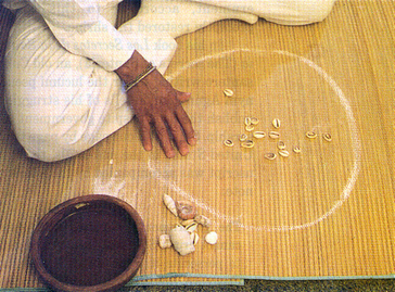 Polished Cowry shells for divination within a chalk circle